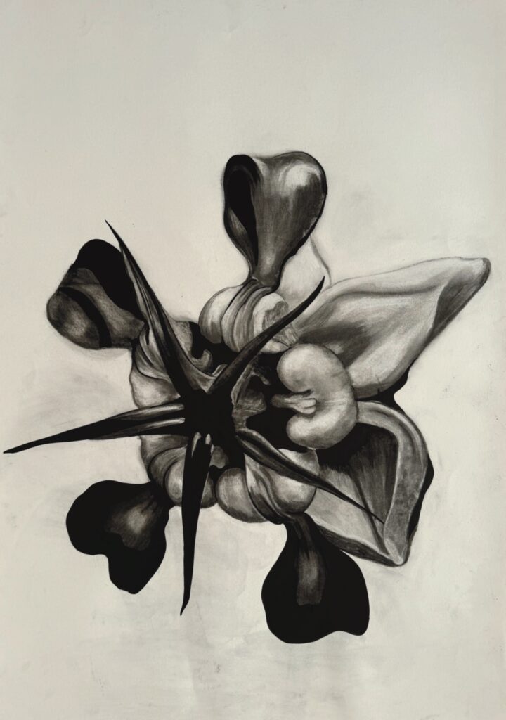 Cupuaçu  (Theobroma Grandiflorum)